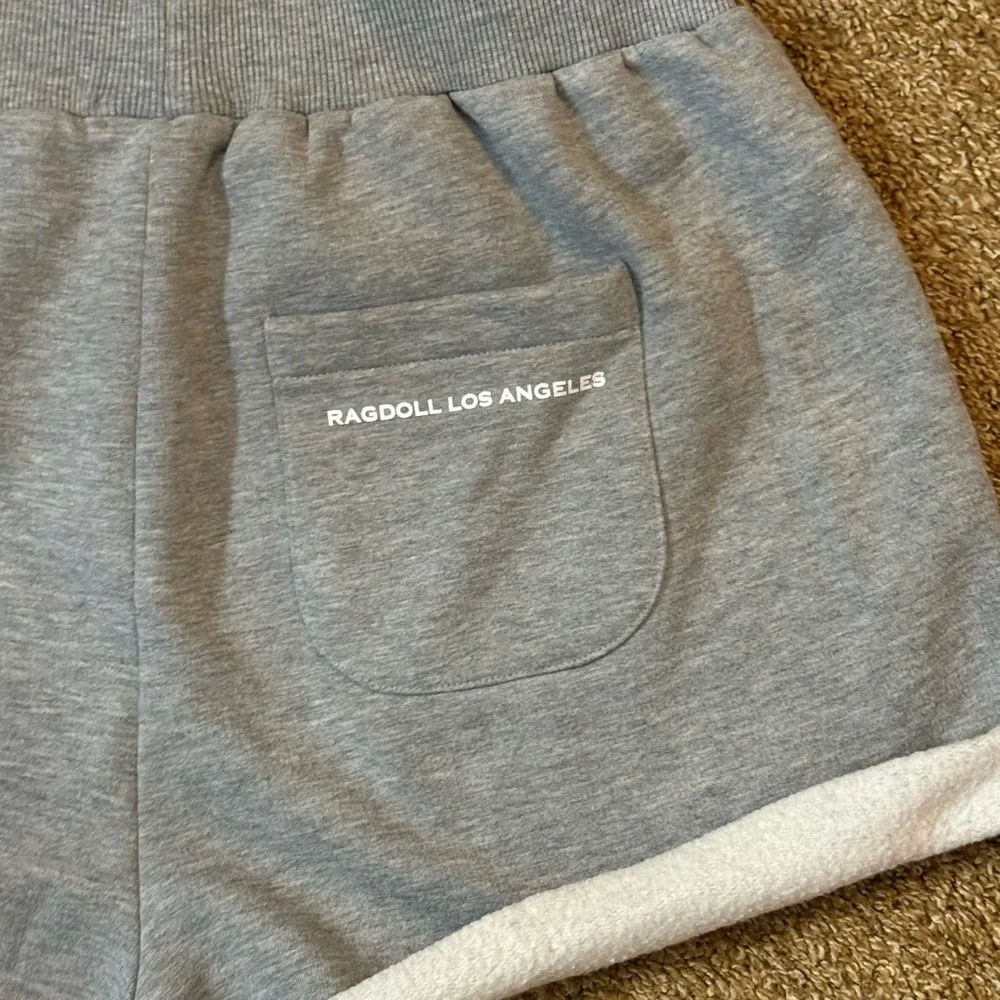 Ragdoll LA Gray Athletic Shorts - Picture 3 of 6